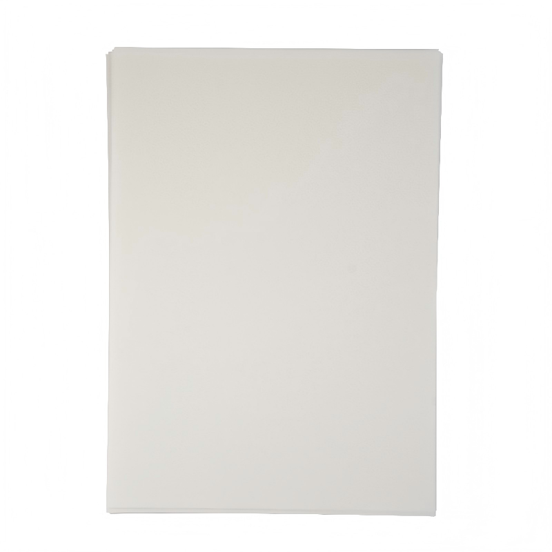 Sheet All Time Peel Double Side Water-Based Coated Matte DTF Film for DTF Printer