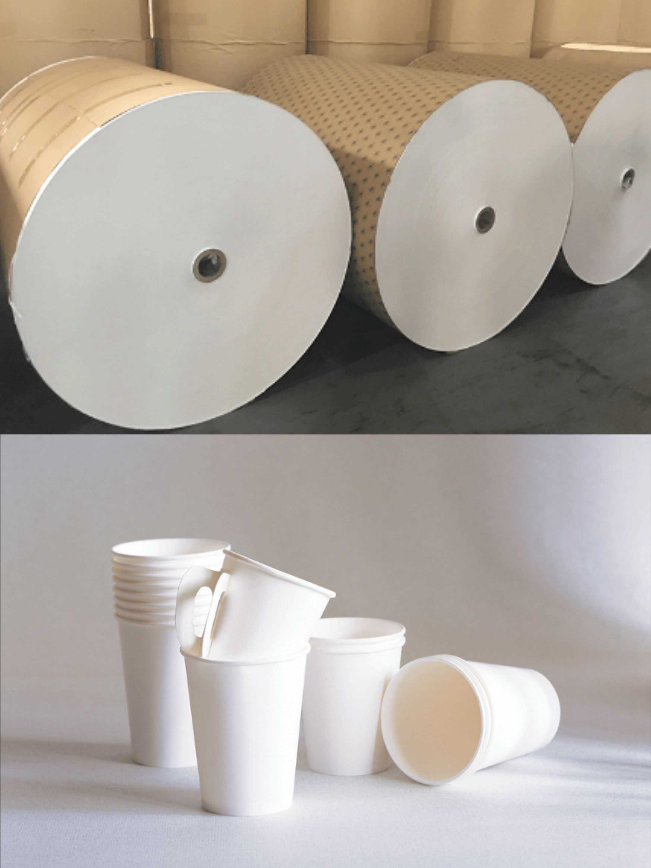 Water-based Coated Cup Paper